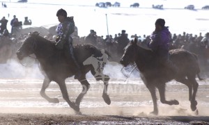 айргийн тавт хурдалсан Х.Бат-Эрдэнийн хүрэн