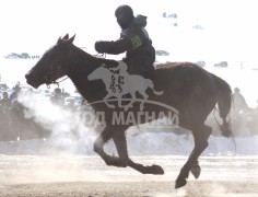 “Дүнжингаравын хурд-2013” хаврын бүсийн уралдаанд түрүүлж айрагдсан хурдан морьд
