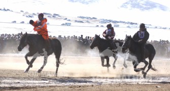 “Дүнжингаравын хурд-2013” хаврын бүсийн уралдаанд түрүүлж айрагдсан хурдан морьд