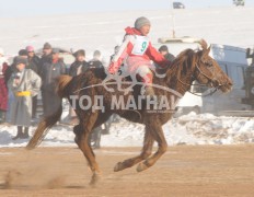 айргийн тавт хурдалсан аймгийн Алдарт уяач Ган-Очирын хүрэн