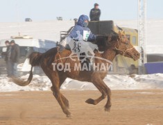 Эрлийз ангилалд түрүүлж айрагдсан хурдан хүлгүүд