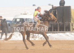 Эрлийз ангилалд түрүүлж айрагдсан хурдан хүлгүүд