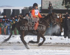 айргийн гуравт хурдалсан Д.Мөнхтүвшингийн хээр