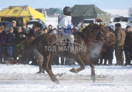 айргийн дөрөвт хурдалсан аймгийн Алдарт уяач Баярцогтын хүрэн азарга