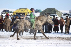 17-т хурдалсан Ховд аймгийн Мөст сумын харьяат Б.Буяннэмэхийн Сувдан