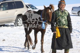 Эрдэнэтийн бүсийн уралдааны эрлийз ангилалд түрүүлж айрагдсан хүлгэд