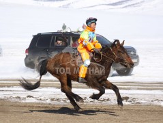 Эрдэнэтийн бүсэд түрүүлж, айрагдсан хурдан азарганууд