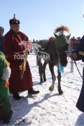 Эрдэнэтийн бүсэд түрүүлж, айрагдсан хурдан азарганууд