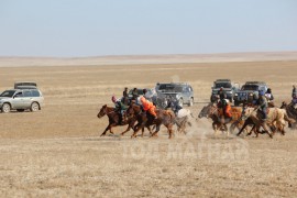 Хурдан соёолон гараанаас эргэж буй нь