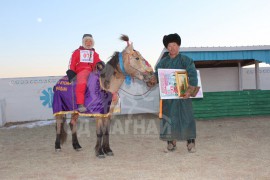 аман хүзүүнд хурдалсан Я.Бат-Өлзийн бор шарга