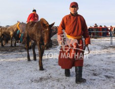 Эрдэнэтийн бүсийн түрүү айргийн их морьд