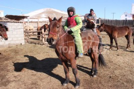 МУ-ын Манлай уяач Г.Батчулуун:Уяач хүн мэднэ гэж байхгүй, мэдрэх л хэрэгтэй