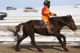 17-д хурдаслан Цэрэндондовын хүрэн