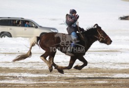 Эрдэнэтийн бүсэд түрүүлж айрагдсан хурдан соёолонгууд