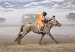 Эрдэнэтийн бүсэд түрүүлж айрагдсан хурдан соёолонгууд