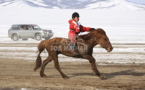 Эрдэнэтийн бүсэд түрүүлж айрагдсан хурдан соёолонгууд