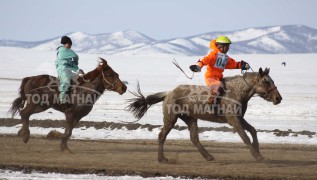 Эрдэнэтийн бүсэд түрүүлж айрагдсан хурдан соёолонгууд