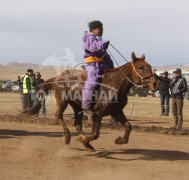 Тод манлайн мялаалга наадам нижгэр боллоо