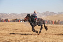 Өвөрхангайн баруун бүсийн наадамд түрүүлж, айрагдсан хурдан хүлгүүд