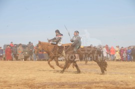 Өвөрхангайн баруун бүсийн наадамд түрүүлж, айрагдсан хурдан хүлгүүд