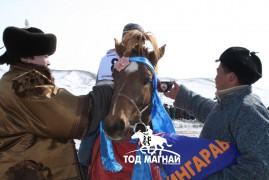 Эрлийз ангилалд түрүүлж айрагдсан хурдан хүлгэдийн дэлгэрэнгүй танилцуулга