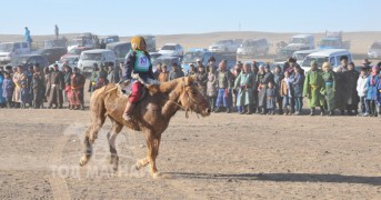 Улсын сайн малчин, аймгийн Алдарт уяач Г.Бүдсүрэн: Хонгор азарга маань намайг мөн ч их баярлуулсан даа