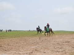 Говийн бүсийн уралдаанд эхний 10-т хурдалсан хурдан хязаалангууд