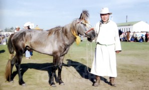 5. Дорнод аймгийн Баяндун сумын уугуул, Т.Цэгмидийн бор азарга.