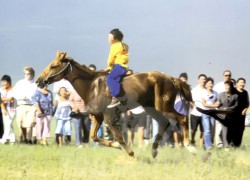 1. Сүхбаатар аймгийн Дарьганга сумын уугуул, “Ганга интернэшнл” ХХК-ийн захирал Ч.Гансүхийн зээрд соёолон.