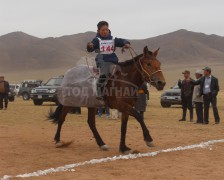 “Дэлтэй цэнхэрийн хурд-2013” бага гурван насны морьдын уралдаан боллоо