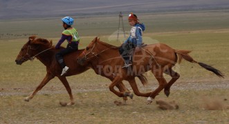 “Дэлтэй цэнхэрийн хурд-2013” бага гурван насны морьдын уралдаан боллоо