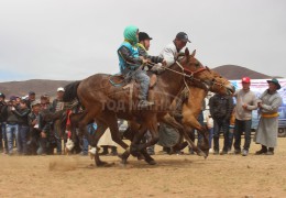 “Дэлтэй цэнхэрийн хурд-2013” бага гурван насны морьдын уралдаан боллоо