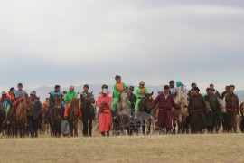 “Дэлтэй цэнхэрийн хурд-2013” бага гурван насны морьдын уралдаан боллоо