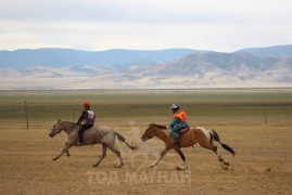 “Дэлтэй цэнхэрийн хурд-2013” уралдааны хурдан шүдлэнгийн фото