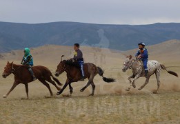 3.Тосонцэнгэл сумын уугуул, сумын МСУХ-ны нарийн бичгийн дарга Д.Гэндэнсүрэнгийн Буган халтар