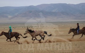 3.Тосонцэнгэл сумын уугуул, сумын МСУХ-ны нарийн бичгийн дарга Д.Гэндэнсүрэнгийн Буган халтар