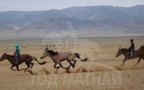 3.Тосонцэнгэл сумын уугуул, сумын МСУХ-ны нарийн бичгийн дарга Д.Гэндэнсүрэнгийн Буган халтар 