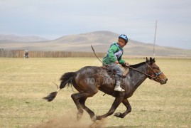 1. Сэлэнгэ аймгийн Сүхбаатар сумын харъяат, аймгийн Алдарт уяач Э.Баянмөнхийн халтар