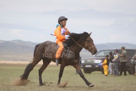 2. Сэлэнгэ аймгийн Дулаанхаан сумын уугуул Баярсайханы хээр