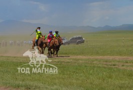 “Хангайн бүс” худалдааны төвийн нэрэмжит уралдаанд айрагдсан морьдын цуваа