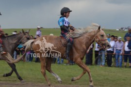 4. Орхон аймгийн Жаргалант сумын харьяат Х.Бямбацогтын шарга халзан хязаалан