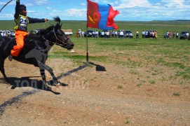 Эрдэнэцагааны наадамд түрүүлж, айрагдсан морьдын фото