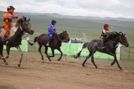 7-д Төмөрбаатарын Батжаргалын халтар, 8-д Лувсанбалдангийн Бат-Оргилын халтар 