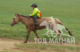 Д.Сугарын хул уралдааны замд. Унаач Б.Буяндэлгэр