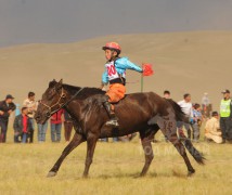 2. Архангай аймгийн Өндөр-Улаан сумын уяач Отгонбаатарын хар