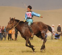 4. Говь-Алтай аймгийн Баян-Уул сумын уугуул МУ-ын Тод манлай уяач Д.Цэрэнжигмэдийн хамар цагаан халтар