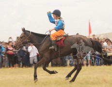 3. Өвөрхангай аймгийн Тарагт сумын уяач Д.Алтангэрэлийн хар