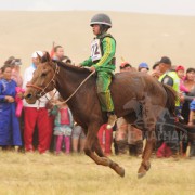 5. Өвөрхангай аймгийн Уянга сумын МУАУ Ч.Бямбасүрэнгийн хүрэн