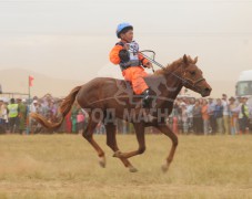 4.Хөвсгөл аймгийн Тариалан сумын уугуул Д.Ганхуягийн хүрэн