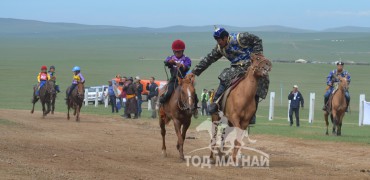 Дэлхийд данслагдсан хонгор халзан